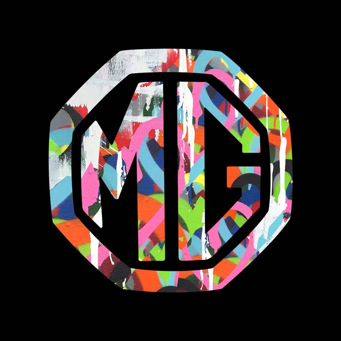MG X DS logo